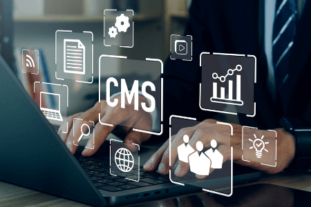 E-commerce Web Platforms & CMS